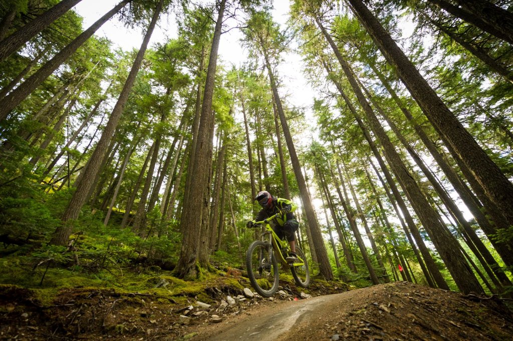 Whistler Bike Park Review – The Ultimate MTB&nbsp;Destination