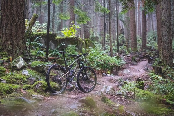 REVIEW OF THE Rocky Mountain Element C99&nbsp;SRAM